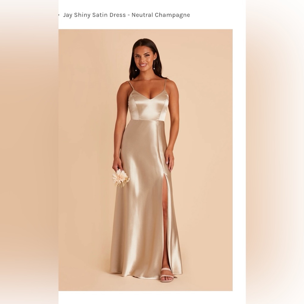 Birdy Grey Satin dress. Neutral Champagne. Size Large